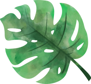 Watercolor Leaf Object 